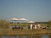 Susuwe Island Lodge - lunch on river bank